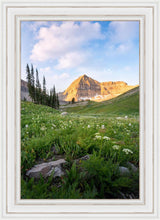 Load image into Gallery viewer, Timpanogos Meadow
