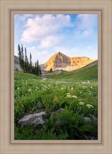 Load image into Gallery viewer, Timpanogos Meadow