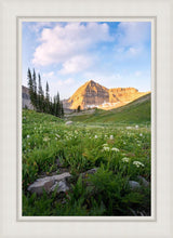 Load image into Gallery viewer, Timpanogos Meadow