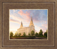 Load image into Gallery viewer, Kansas City Brightly Beams