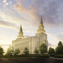 Load image into Gallery viewer, Kansas City Brightly Beams