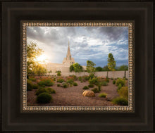 Load image into Gallery viewer, Phoenix Sun