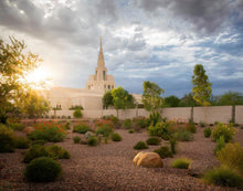 Load image into Gallery viewer, Phoenix Sun