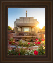 Load image into Gallery viewer, Snowflake Sunburst