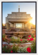 Load image into Gallery viewer, Snowflake Sunburst