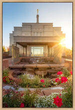 Load image into Gallery viewer, Snowflake Sunburst