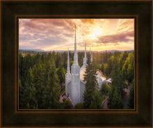 Load image into Gallery viewer, Portland From On High