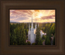 Load image into Gallery viewer, Portland From On High