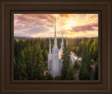 Load image into Gallery viewer, Portland From On High