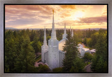 Load image into Gallery viewer, Portland from on High