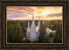 Load image into Gallery viewer, Portland From On High