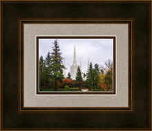 Load image into Gallery viewer, Portland Temple Forest Through The Trees