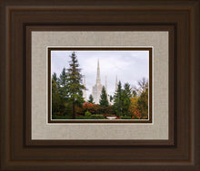 Load image into Gallery viewer, Portland Temple Forest Through The Trees