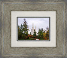 Load image into Gallery viewer, Portland Temple Forest Through The Trees