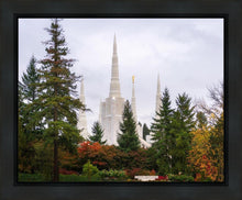 Load image into Gallery viewer, Portland Temple Forest Through The Trees