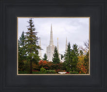 Load image into Gallery viewer, Portland Temple Forest Through The Trees