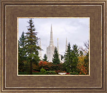 Load image into Gallery viewer, Portland Temple Forest Through The Trees