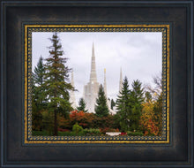 Load image into Gallery viewer, Portland Temple Forest Through The Trees