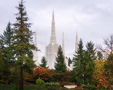Load image into Gallery viewer, Portland Temple Forest Through The Trees