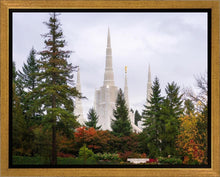 Load image into Gallery viewer, Portland Temple Forest Through The Trees
