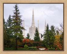 Load image into Gallery viewer, Portland Temple Forest Through The Trees