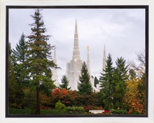 Load image into Gallery viewer, Portland Temple Forest Through The Trees