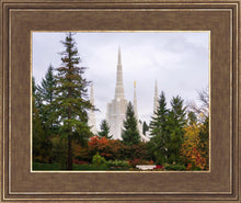 Load image into Gallery viewer, Portland Temple Forest Through The Trees