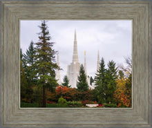 Load image into Gallery viewer, Portland Temple Forest Through The Trees