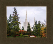 Load image into Gallery viewer, Portland Temple Forest Through The Trees