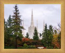 Load image into Gallery viewer, Portland Temple Forest Through The Trees