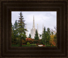 Load image into Gallery viewer, Portland Temple Forest Through The Trees