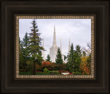 Load image into Gallery viewer, Portland Temple Forest Through The Trees