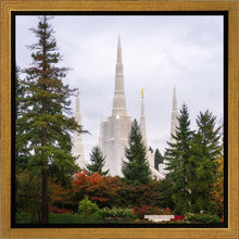 Load image into Gallery viewer, Portland Temple Forest Through The Trees