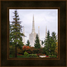 Load image into Gallery viewer, Portland Temple Forest Through The Trees