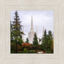 Load image into Gallery viewer, Portland Temple Forest Through The Trees