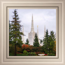 Load image into Gallery viewer, Portland Temple Forest Through The Trees
