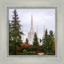 Load image into Gallery viewer, Portland Temple Forest Through The Trees