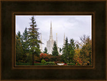 Load image into Gallery viewer, Portland Temple Forest Through The Trees