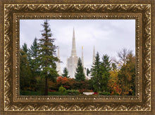 Load image into Gallery viewer, Portland Temple Forest Through The Trees