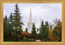 Load image into Gallery viewer, Portland Temple Forest Through The Trees
