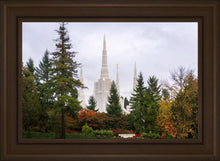 Load image into Gallery viewer, Portland Temple Forest Through The Trees