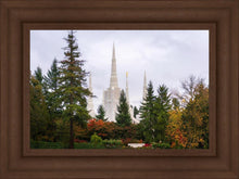 Load image into Gallery viewer, Portland Temple Forest Through The Trees