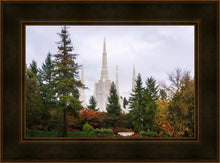 Load image into Gallery viewer, Portland Temple Forest Through The Trees
