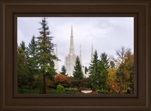 Load image into Gallery viewer, Portland Temple Forest Through The Trees