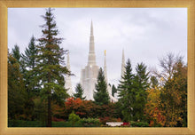 Load image into Gallery viewer, Portland Temple Forest Through The Trees