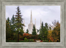 Load image into Gallery viewer, Portland Temple Forest Through The Trees