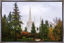 Load image into Gallery viewer, Portland Temple Forest Through The Trees