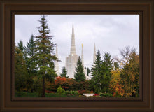 Load image into Gallery viewer, Portland Temple Forest Through The Trees