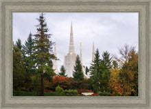 Load image into Gallery viewer, Portland Temple Forest Through The Trees
