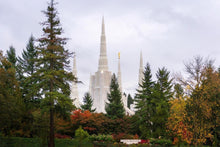 Load image into Gallery viewer, Portland Temple Forest Through The Trees